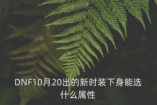 DNF10月20出的新时装下身能选什么属性