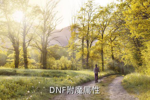 DNF附魔属性