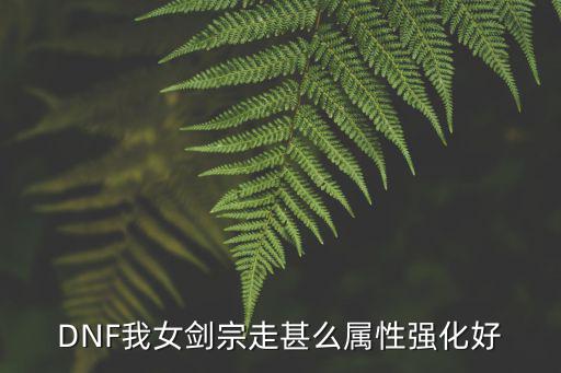 DNF我女剑宗走甚么属性强化好