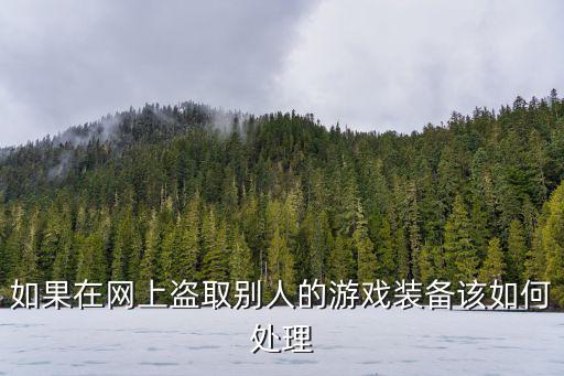 如果在网上盗取别人的游戏装备该如何处理