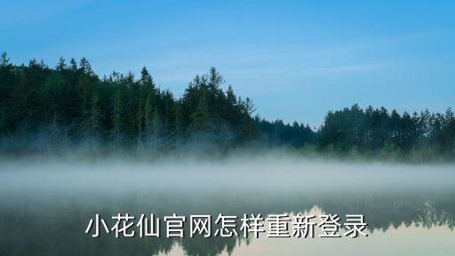 小花仙官网怎样重新登录