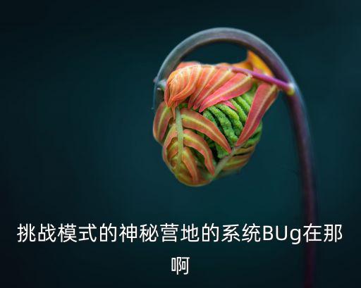 挑战模式的神秘营地的系统BUg在那啊