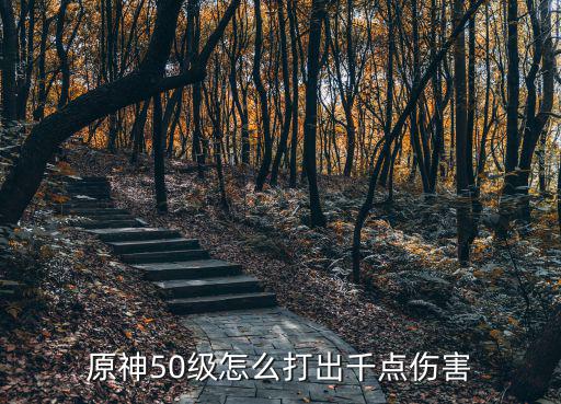 原神50级怎么打出千点伤害