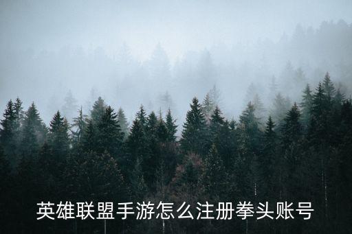 英雄联盟手游怎么注册拳头账号