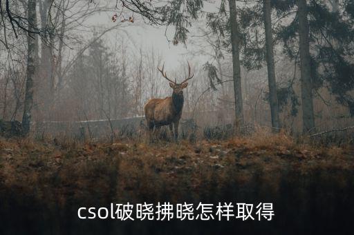 csol破晓拂晓怎样取得