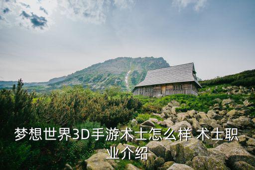 梦想世界3D手游术士怎么样 术士职业介绍