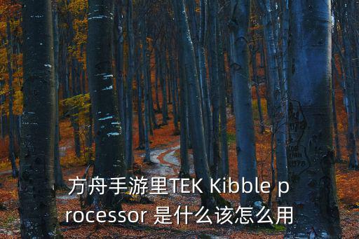 方舟手游里TEK Kibble processor 是什么该怎么用