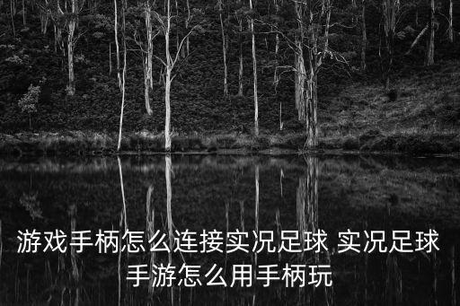 实况手游怎么弄教练助手，游戏手柄怎么连接实况足球 实况足球手游怎么用手柄玩