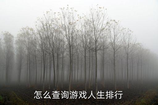 怎么查询游戏人生排行