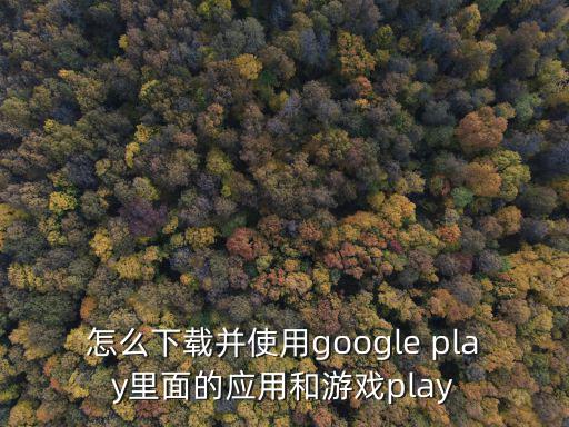 怎么下载并使用google play里面的应用和游戏play