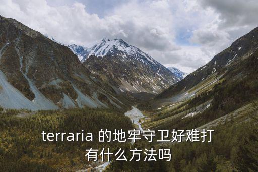 terraria 的地牢守卫好难打有什么方法吗