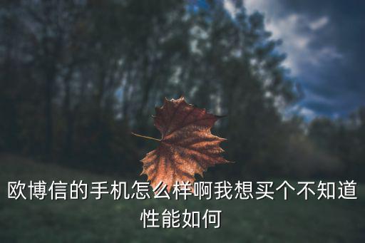 欧博信的手机怎么样啊我想买个不知道性能如何