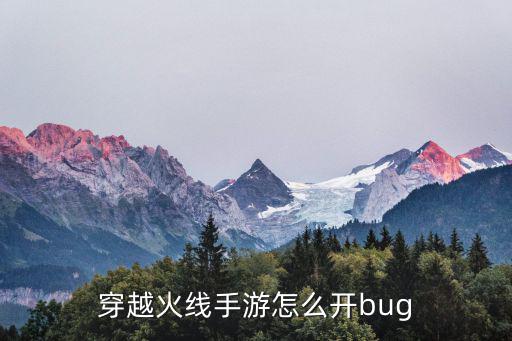 穿越火线手游怎么开bug