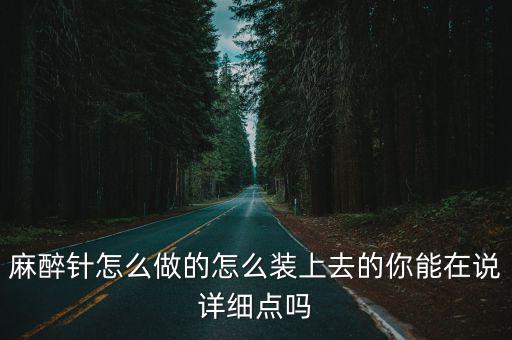 麻醉针怎么做的怎么装上去的你能在说详细点吗