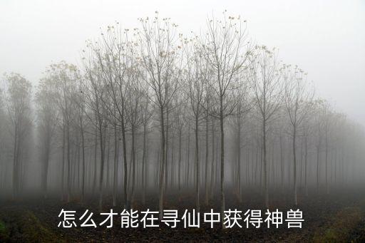 怎么才能在寻仙中获得神兽