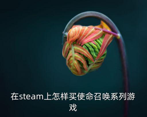 在steam上怎样买使命召唤系列游戏