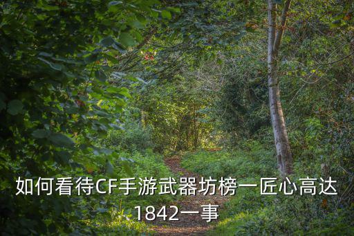 如何看待CF手游武器坊榜一匠心高达1842一事