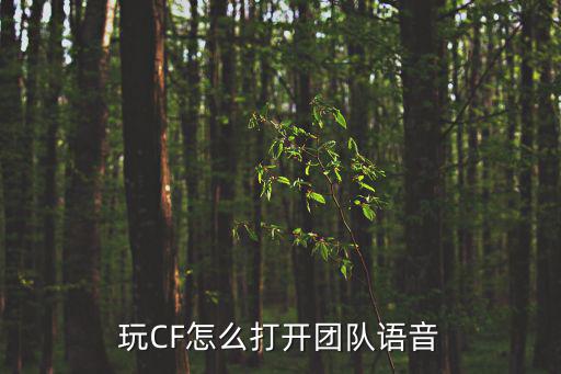 玩CF怎么打开团队语音