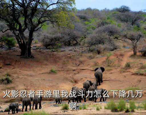 火影忍者手游里我战斗力怎么下降几万啊