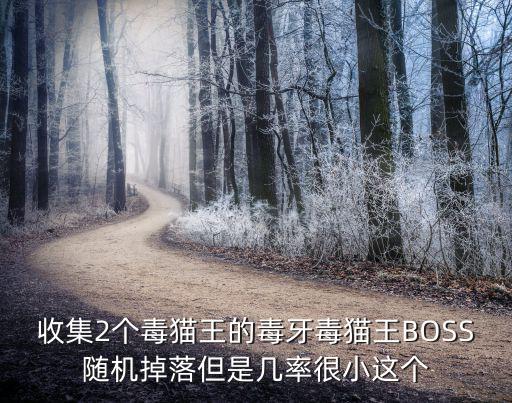 收集2个毒猫王的毒牙毒猫王BOSS随机掉落但是几率很小这个