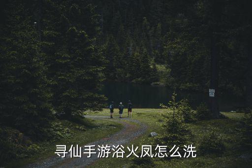 寻仙手游浴火凤怎么洗