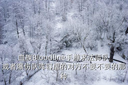 血族Bloodline手游求法师队或者爆伤队阵容虐的对方不要不要的那种