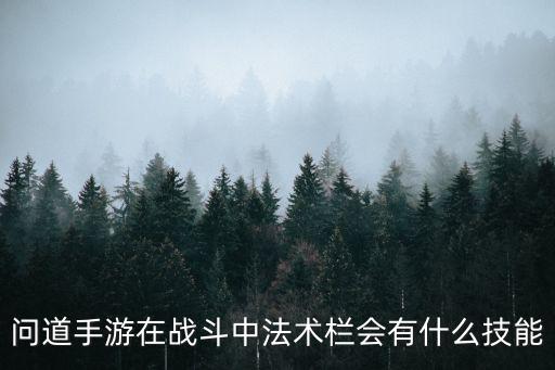 问道手游在战斗中法术栏会有什么技能