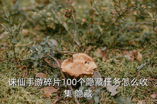 诛仙手游碎片100个隐藏任务怎么收集 隐藏