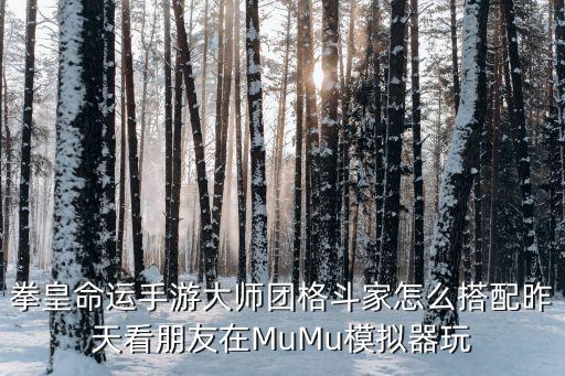 拳皇命运手游大师团格斗家怎么搭配昨天看朋友在MuMu模拟器玩