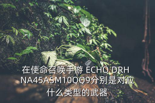 在使命召唤手游 ECHO DRH NA45ASM10QQ9分别是对应什么类型的武器