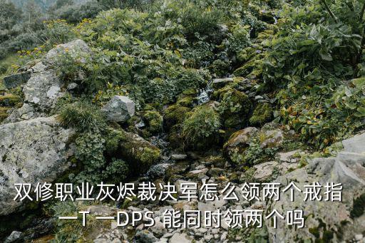 双修职业灰烬裁决军怎么领两个戒指 一T 一DPS 能同时领两个吗