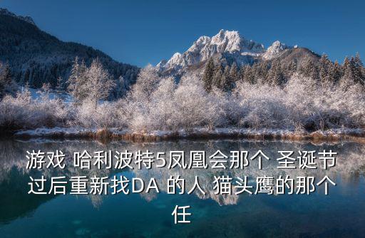 游戏 哈利波特5凤凰会那个 圣诞节过后重新找DA 的人 猫头鹰的那个任