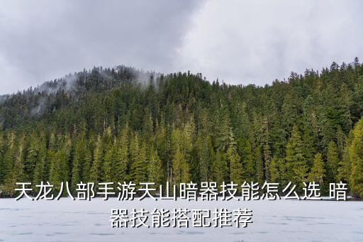 天龙八部手游天山暗器技能怎么选 暗器技能搭配推荐