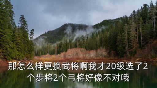 那怎么样更换武将啊我才20级选了2个步将2个弓将好像不对哦