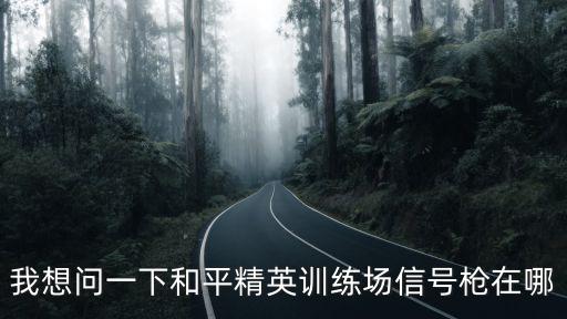 吃鸡手游训练场的枪怎么下，pubg训练场枪在哪