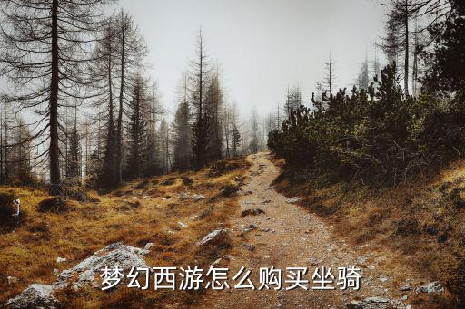 梦幻手游雪人坐骑怎么买，梦幻西游手游坐骑怎么获得