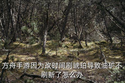 方舟手游因为改时间刷琥珀导致油矿不刷新了怎么办