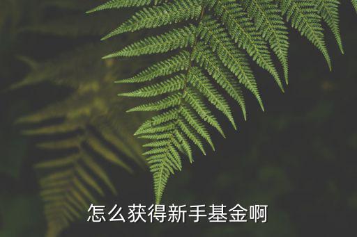 怎么获得新手基金啊