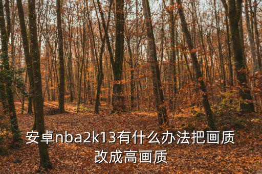 安卓nba2k13有什么办法把画质改成高画质