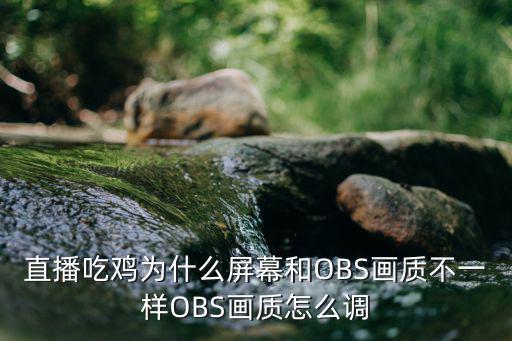 直播吃鸡为什么屏幕和OBS画质不一样OBS画质怎么调