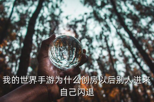 我的世界手游为什么创房以后别人进来自己闪退