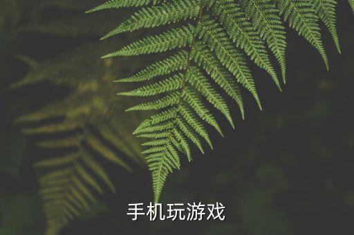 手机玩游戏