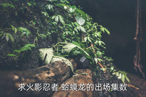 求火影忍者 蛤蟆龙的出场集数