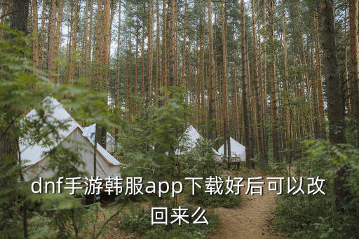 dnf手游韩服app下载好后可以改回来么