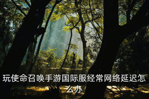 玩使命召唤手游国际服经常网络延迟怎么办