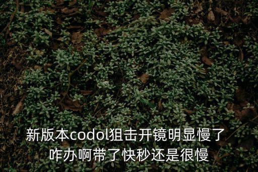 新版本codol狙击开镜明显慢了 咋办啊带了快秒还是很慢