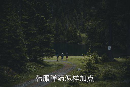 韩服弹药怎样加点