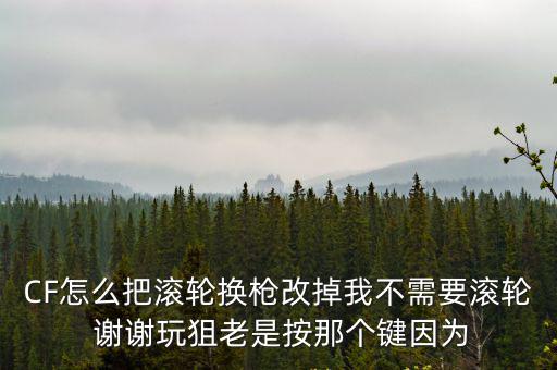 CF怎么把滚轮换枪改掉我不需要滚轮 谢谢玩狙老是按那个键因为