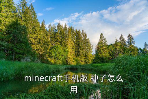 minecraft手机版 种子怎么用