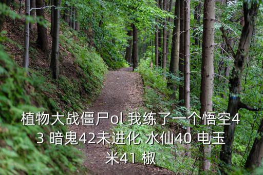 植物大战僵尸ol 我练了一个悟空43 暗鬼42未进化 水仙40 电玉米41 椒